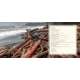 Salmon, Cedar, Rock & Rain: Washington’S Olympic Peninsula - Book - Paracay