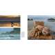 Salmon, Cedar, Rock & Rain: Washington’S Olympic Peninsula - Book - Paracay