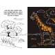 Scratch & Sketch: Dot-To-Dot Animals - Book - Paracay