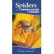 Spiders of the United States & Canada - Spiral Bound