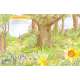 The-Great-Outdoors-Sticker-Activity-Book-Book