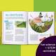 The-Highlights-Book-Of-Things-To-Do-Outdoors-Book