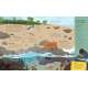 Waterworlds - Book - Paracay
