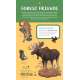 Wild-Wonderful-Tattoo-Woodland-Animals-60-Temporary-Tattoos-That-Teach-Book