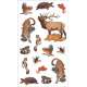 Wild-Wonderful-Tattoo-Woodland-Animals-60-Temporary-Tattoos-That-Teach-Book