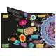 You Can Voyage Into Space - Book - Paracay