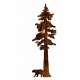 Redwood  with Black Bear - Magnet