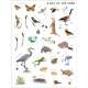 Backpack-Explorer-Stickers-Nature-Adventure-Book