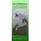 Guatemala Pacific Slope Birds (Laminated 2-Sided Card)