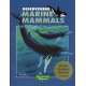 Discovering Marine Mammals