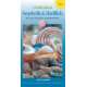 A Field Guide to Seashells & Shellfish of the Pacific Northwest (Folding Pocket Guide)