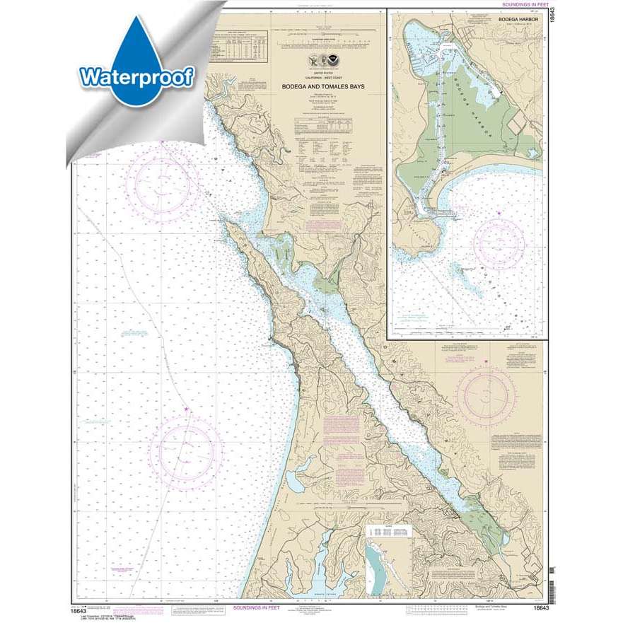 Waterproof Paradise Cay Publications NOAA Chart 18643 Bodega and Tomales Bays; Bodega Harbor 34.3 x 43.5